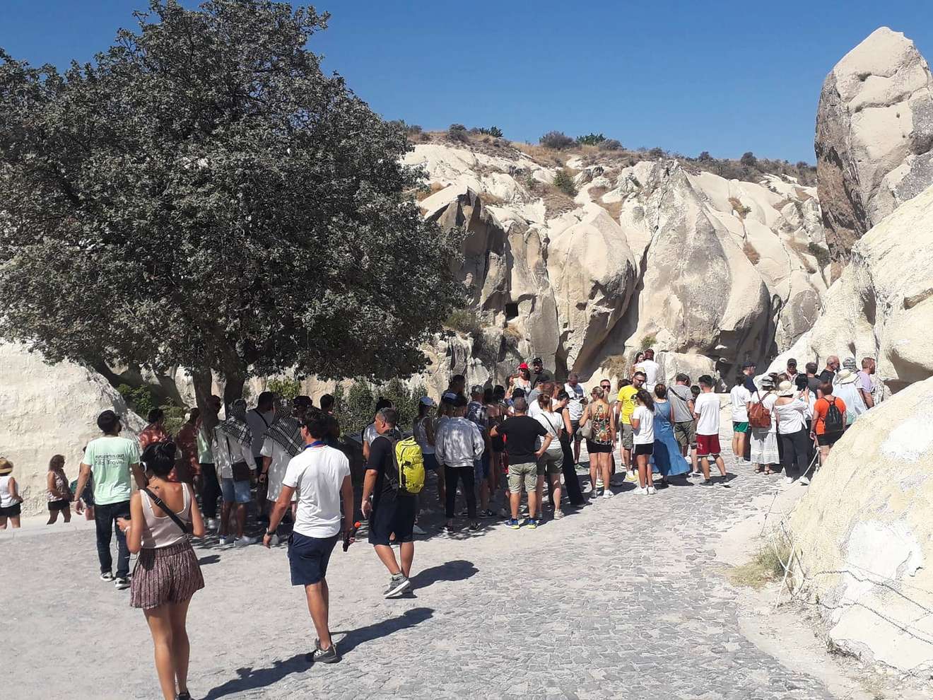 Menschenmasse beim Open Air Museum