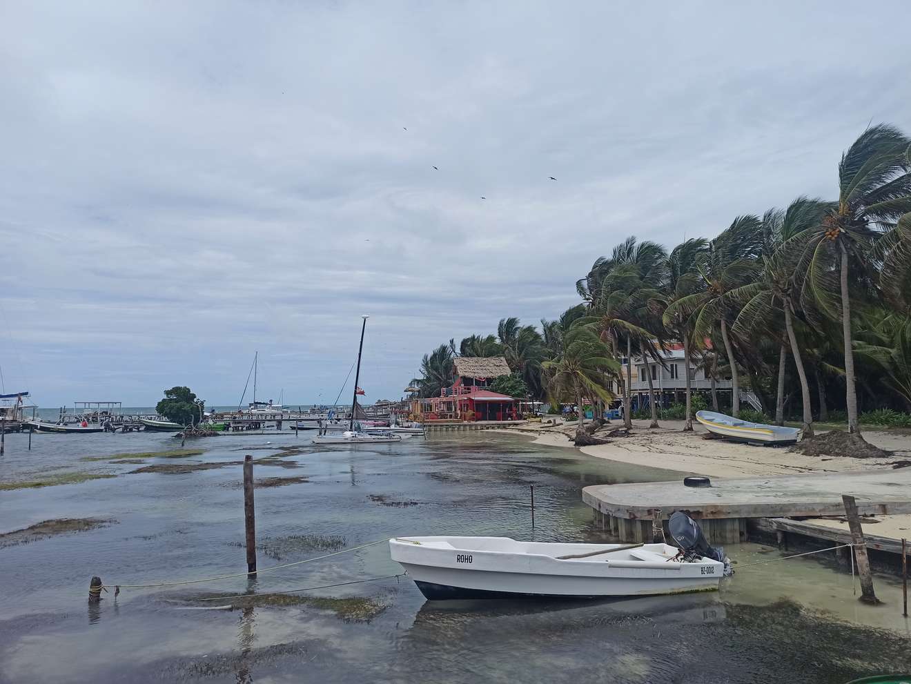 Caye Caulker