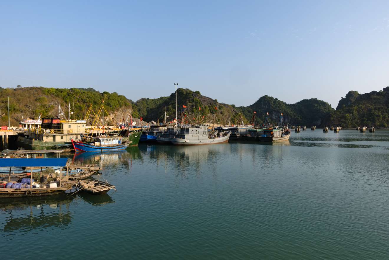 Halong 1