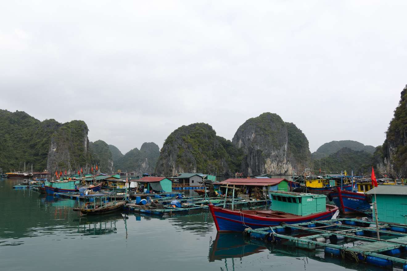 Halong 2