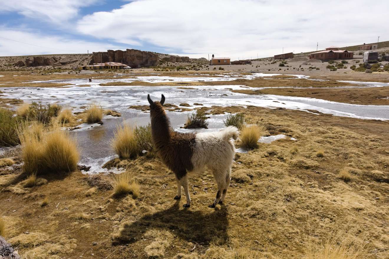 Bolivien